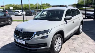 Skoda kodiaq/2019/2.0 TDI/Style