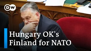 Turkey now last holdout for Finland's NATO bid | DW News