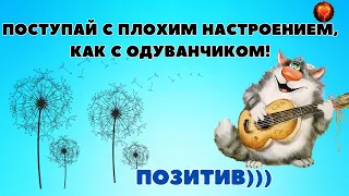 Позитив! Поступайте с плохим настроением, как с одуванчиком!