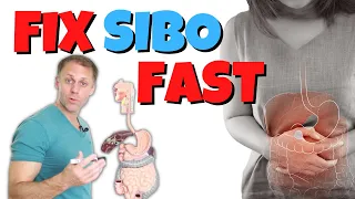 How to Fix SIBO Fast (Small Intestinal Bacterial Overgrowth)