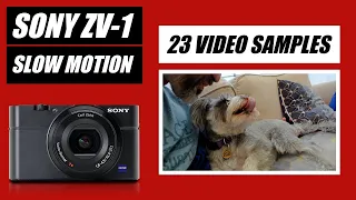 Sony ZV-1 SLOW MOTION Videos | 120 240 480 960fps | ZV1 Sample Footage