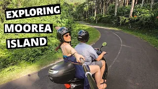 Exploring MOOREA Island by BOAT & SCOOTER // French Polynesia Vlog Day 3