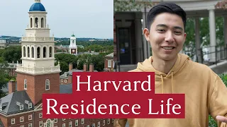 Four Harvard students explain what it's like to live at Harvard College