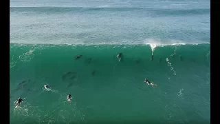 Surfing with Dolphins | 4k | Mavic Pro | Umdloti Beach
