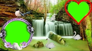 Green screen wedding effects | wedding background video effects  green screen video & photo