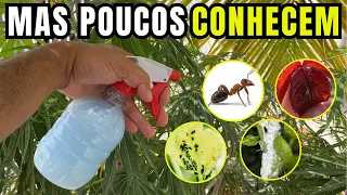 MATA TUDO EM 10 SEGUNDOS (Formiga, Pulgão, Lagartas, Ácaros, Mosca Branca)