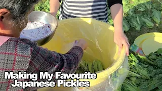 Making My Favourite Japanese Pickles