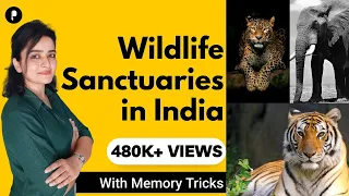 Wildlife Sanctuaries in India with States | Important Facts & Endangered Species | Memory Tricks