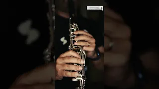 SEMIRAMIDE Overture - Clarinet Solo (José G. Granero) #clarinet #orchestralmusic #clarinetsolo