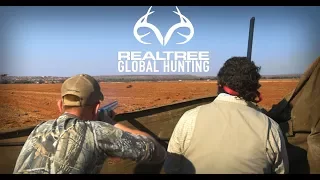 Pigeon Shooting in South Africa