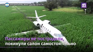 Пилот Cessna C560X спас 9 человек, посадив самолёт на кукурузное поле