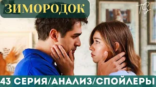 Зимородок 43 серия. Анализ. Спойлеры. Мнение о серии