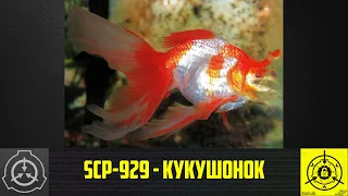 SCP-929 - Кукушонок      【СТАРАЯ ОЗВУЧКА】