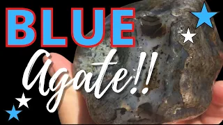 INCREDIBLE rock hunt! BLUE agates, HUGE petrified wood and moss agates from Yellowstone gravel bar
