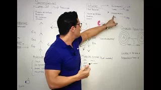 EL METABOLISMO  #Bioquímica