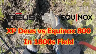 XP Deus vs Minelab Equinox800, 1800s field