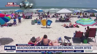 Beachgoers on alert after 2 people, including child, bitten by sharks in New Smyrna Beach