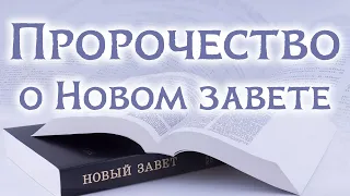 Пророчество о Новом завете | Раввин Михаил Финкель