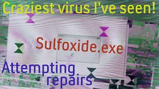 Running a crazy computer virus (Sulfoxide.exe) & attempting to repair it!