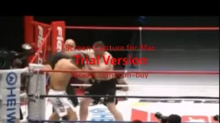 Mirko Filipovic- Cro Cop vs Satoshi Ishii 2 High Kick 2014-2015