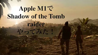 ACT#2 Apple M1でShadow of the Tomb raider やってみた  Mac book air 1440×900 Image quality High resolution