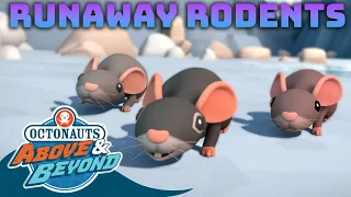Octonauts: Above & Beyond - Runaway Rodents 🐀🐁 | Compilation | @Octonauts​