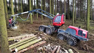 🌲 Komatsu 931XC • *the PERFECT one* • Harvester in Action • Forstbetrieb Surtmann • Part-1🌲