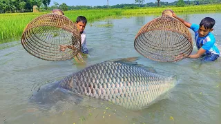 Fishing Video | Little Boys Catch Fish With Bamboo Tools Polo Trap In Rain Water