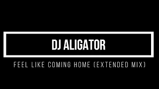 "DJ Aligator – Feel Like Coming Home (Extended Mix)"