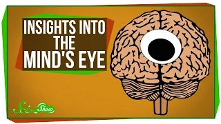 New Insights Into 'The Mind's Eye'