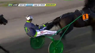 Sundsvall Open Trot 2019, Ringostarr Treb