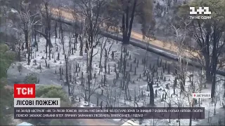 В Австралії вогонь від лісових пожеж випалив 165 гектарів землі | ТСН 16:45