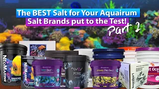 What is the Best salt for your reef tank? The Ultimate Salt Test - Part 2