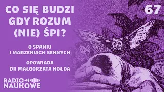 Sen i sny, czyli co się dzieje nocą w naszych głowach? | dr Małgorzata Hołda