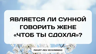 163. Является ли Сунной говорить жене «Чтоб ты сдохла»? || Ринат Абу Мухаммад