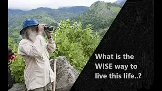 What is the WISE Way to live this Life..? - Sadhguru