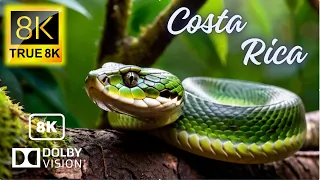 Costa Rica 8K Videos Ultra HD 120 FPS | TRUE 8K - 8k UHD Videos