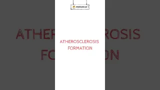 Atherosclerosis formation🔥 #atherosclerosis #stroke #shorts