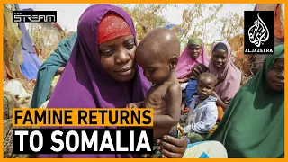 Famine in Somalia: What can be done to stave it off? | The Stream