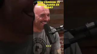 Joe Rogan how common is marijuana in Cuba?