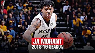 Ja Morant  Murray State Sophomore Season Highlights Montage 2018-19 - 24.5 PPG, 10.0 APG, Point-GOD!