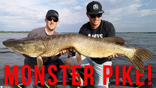 Monster Pike! The biggest pike ever shown on YouTube?