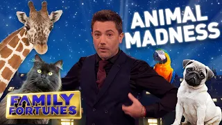 Animal Madness! | Family Fortunes 2021