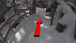 SKIING THROUGH FOREST *DANGEROUS*