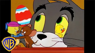 Tom i Jerry po polsku 🇵🇱 | Wesołej Wielkanocy! 🐣 |  @WBKidsInternational​