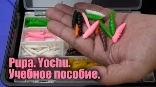 Ловля форели на силиконовые личинки FishUp Pupa, Yochu, Morio.