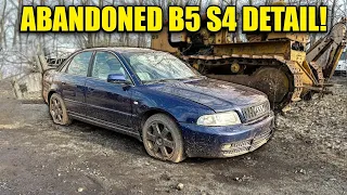 Disaster Barnyard Find | Audi B5 S4 | First Wash in YEARS! | Car Detailing Restoration