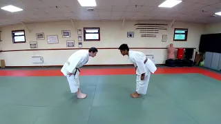 Funakoshi's 9 Throws