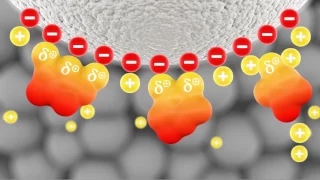 Introduction to Ion-exchange chromatography