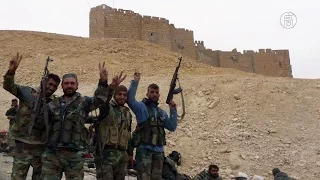 Сирийская армия освободила Пальмиру от боевиков ИГИЛ (новости)